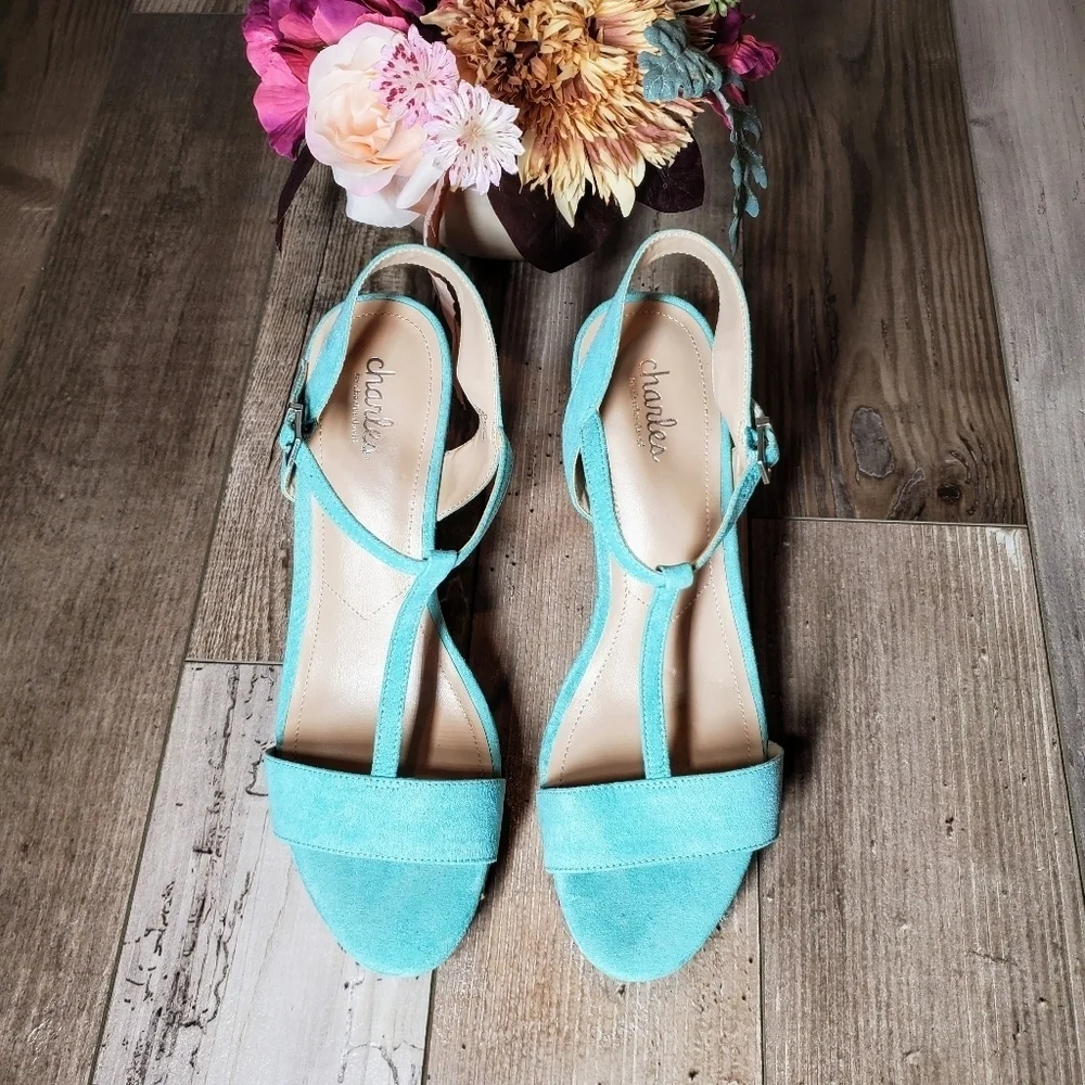 Charles by Charles David Lainey Wedge Sandals Size 10M EUC